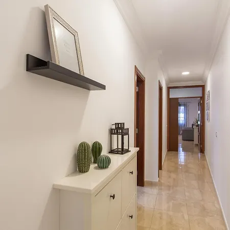 Rolycar 201 Icod De Los Vinos