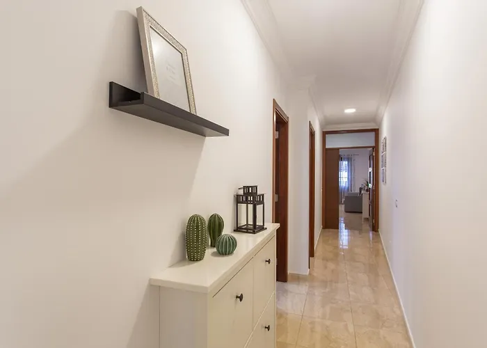 Rolycar 201 Icod De Los Vinos